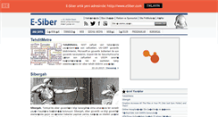 Desktop Screenshot of e-siber.com